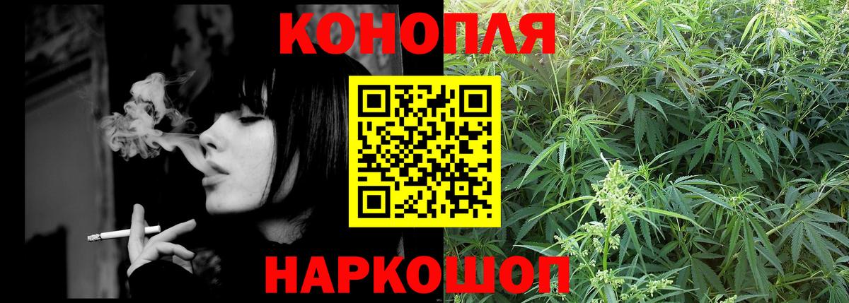 Бошки марихуана сатива  Вход с VPN  Конопля OG Kush  МАРИХУАНА AK-47  Заречный  Шишки марихуана Ganja 